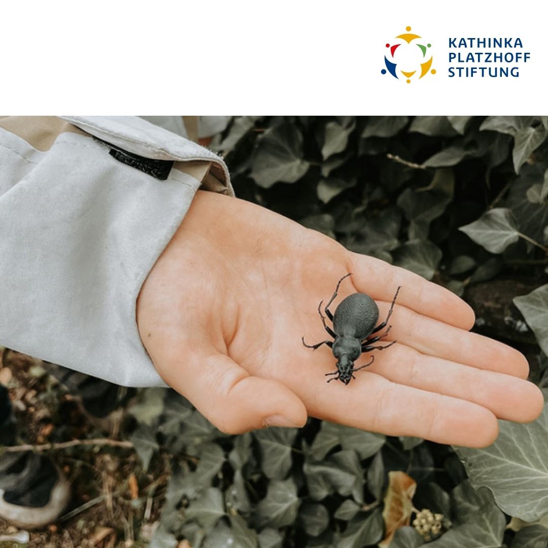 Abenteuer Insekten Kachel Veranstaltungskalender